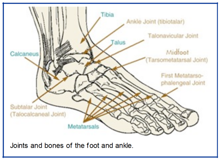 Podiatrist In Mission Viejo Ca Dr J Mccann Foot Ankle Specialist